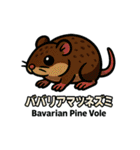 絶滅から救え！世界の希少動物スタンプ（個別スタンプ：2）