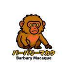 絶滅から救え！世界の希少動物スタンプ（個別スタンプ：4）