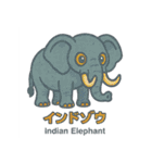 絶滅から救え！世界の希少動物スタンプ（個別スタンプ：20）