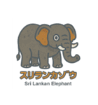 絶滅から救え！世界の希少動物スタンプ（個別スタンプ：21）