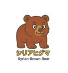 絶滅から救え！世界の希少動物スタンプ（個別スタンプ：25）