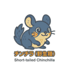 絶滅から救え！世界の希少動物スタンプ（個別スタンプ：36）