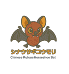 絶滅から救え！世界の希少動物スタンプ（個別スタンプ：40）