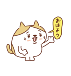 ネコのぽちゃり いつものあいさつ（個別スタンプ：6）
