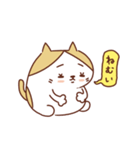 ネコのぽちゃり いつものあいさつ（個別スタンプ：8）