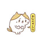 ネコのぽちゃり いつものあいさつ（個別スタンプ：9）