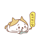 ネコのぽちゃり いつものあいさつ（個別スタンプ：12）