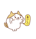 ネコのぽちゃり いつものあいさつ（個別スタンプ：15）
