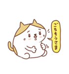 ネコのぽちゃり いつものあいさつ（個別スタンプ：16）