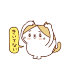 ネコのぽちゃり いつものあいさつ（個別スタンプ：23）