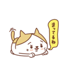 ネコのぽちゃり いつものあいさつ（個別スタンプ：24）
