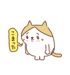 ネコのぽちゃり いつものあいさつ（個別スタンプ：33）