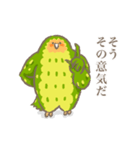 保護を必要としないカカポ（個別スタンプ：12）