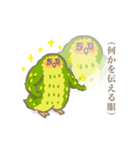 保護を必要としないカカポ（個別スタンプ：14）