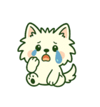 【しろいぬ】季節のおくりもの（個別スタンプ：10）