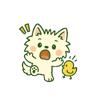 【しろいぬ】季節のおくりもの（個別スタンプ：16）