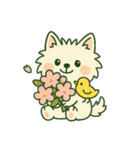 【しろいぬ】季節のおくりもの（個別スタンプ：36）