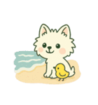 【しろいぬ】季節のおくりもの（個別スタンプ：38）