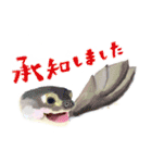 爬虫両生類の日常スタンプ 敬語 ver.（個別スタンプ：5）