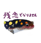 爬虫両生類の日常スタンプ 敬語 ver.（個別スタンプ：20）