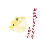 爬虫両生類の日常スタンプ 敬語 ver.（個別スタンプ：22）