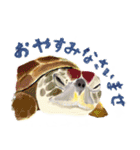 爬虫両生類の日常スタンプ 敬語 ver.（個別スタンプ：23）