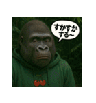 【山形弁】パーカーコング君。（個別スタンプ：31）