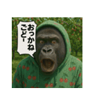 【山形弁】パーカーコング君。（個別スタンプ：40）
