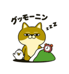 柴犬の日常（3）40個／柴犬／拒否柴／豆柴（個別スタンプ：3）