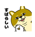 柴犬の日常（3）40個／柴犬／拒否柴／豆柴（個別スタンプ：11）