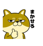 柴犬の日常（3）40個／柴犬／拒否柴／豆柴（個別スタンプ：19）