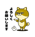 柴犬の日常（3）40個／柴犬／拒否柴／豆柴（個別スタンプ：20）