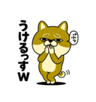 柴犬の日常（3）40個／柴犬／拒否柴／豆柴（個別スタンプ：25）