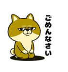 柴犬の日常（3）40個／柴犬／拒否柴／豆柴（個別スタンプ：31）