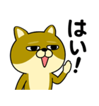 柴犬の日常（3）40個／柴犬／拒否柴／豆柴（個別スタンプ：35）