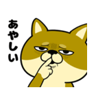 柴犬の日常（3）40個／柴犬／拒否柴／豆柴（個別スタンプ：36）