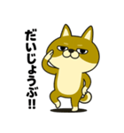 柴犬の日常（3）40個／柴犬／拒否柴／豆柴（個別スタンプ：37）