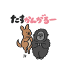 あにまるず with Gorilla（ダジャレ）（個別スタンプ：16）