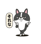 白黒アニマルの日常40個／ボストンテリア風（個別スタンプ：34）