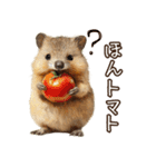 クオッカの食レポ（個別スタンプ：16）