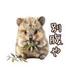 クオッカの食レポ（個別スタンプ：23）