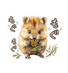 クオッカの食レポ（個別スタンプ：25）