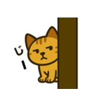 かわいい茶トラ猫の日常スタンプ（個別スタンプ：2）