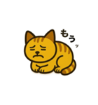 かわいい茶トラ猫の日常スタンプ（個別スタンプ：3）