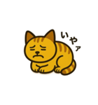 かわいい茶トラ猫の日常スタンプ（個別スタンプ：5）