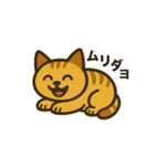 かわいい茶トラ猫の日常スタンプ（個別スタンプ：8）