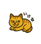 かわいい茶トラ猫の日常スタンプ（個別スタンプ：10）