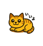 かわいい茶トラ猫の日常スタンプ（個別スタンプ：11）