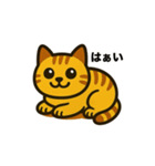 かわいい茶トラ猫の日常スタンプ（個別スタンプ：12）