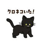 猫いた！（個別スタンプ：1）
